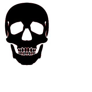 pZylain's emblem