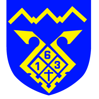 Scout163's emblem