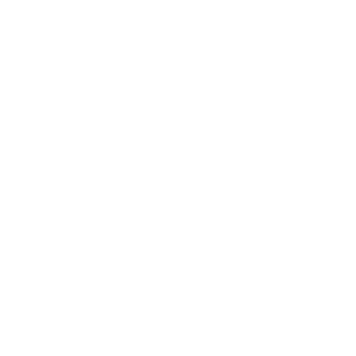 lafouine13NRV's emblem