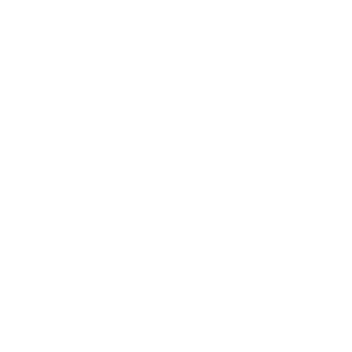AutoMativeX's emblem