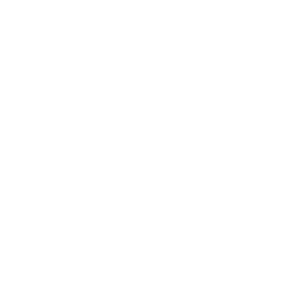Varlam89's emblem