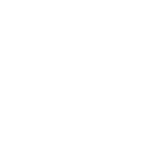 ChaosWalker1909's emblem