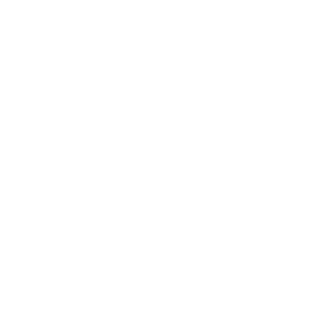 SkizNow's emblem