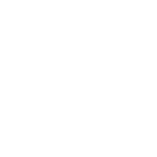 EDUCOREE's emblem