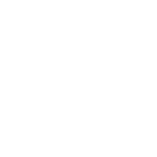 igoooooor's emblem