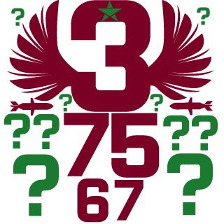SkaterBoyJr's emblem