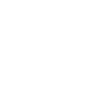 AnAngryAmerican1's emblem