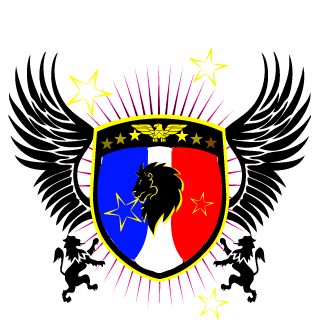 FURY's emblem