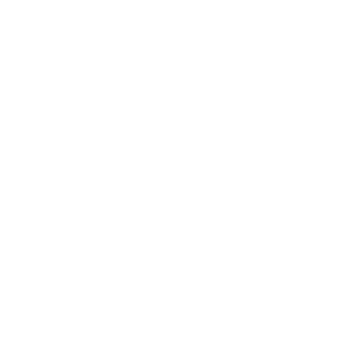 Ray P 64's emblem