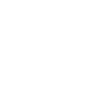 1_Aniol_'s emblem