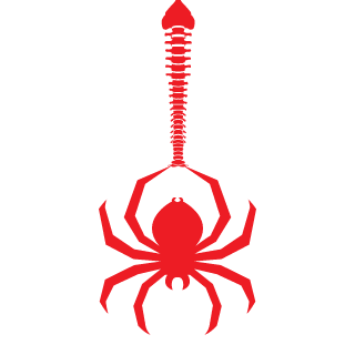 Der_Belaruss8014's emblem