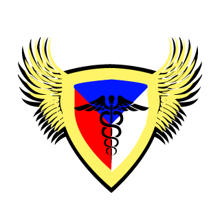 CzechNeverEnd's emblem
