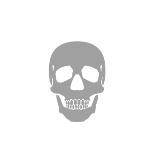 141King141's emblem