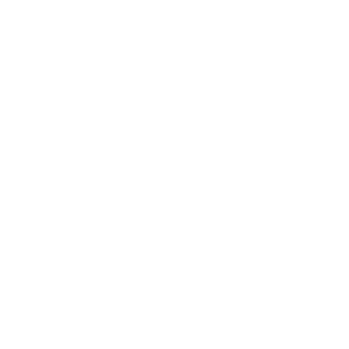 Saladin_Rising's emblem