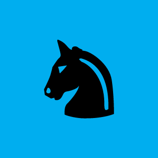 fle_xoo's emblem