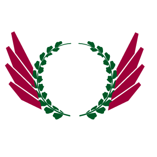 StuckingFoopid's emblem