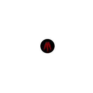 qazroo's emblem
