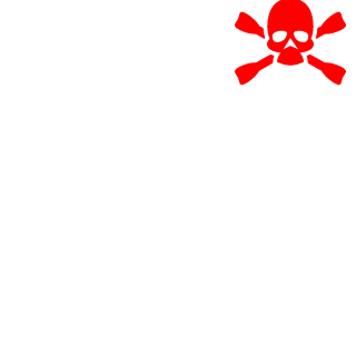 ShadowSonicStorm's emblem