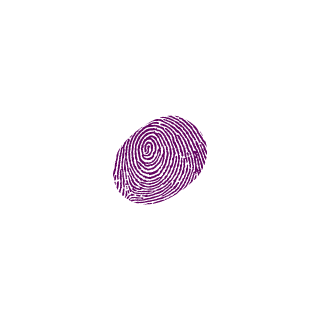 Novikov_NA's emblem