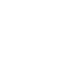 095__MAGA__095's emblem