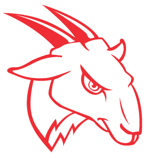 BogdanG011's emblem
