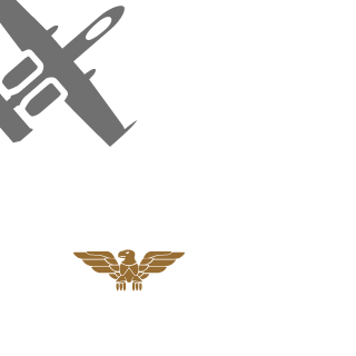 1_OliVkA_1's emblem
