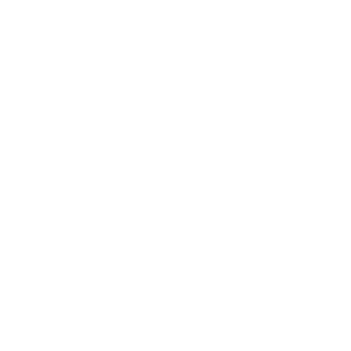 Nola27's emblem