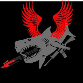 DevaistS's emblem