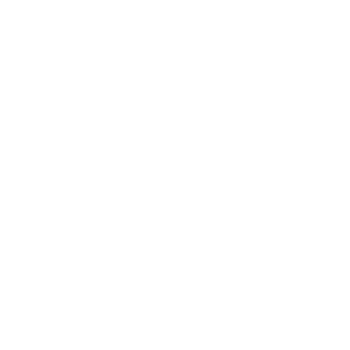 lemonrand1's emblem