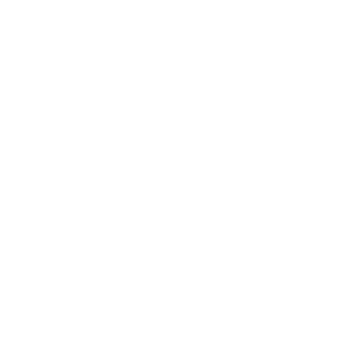 00-STARFOX's emblem
