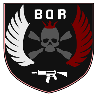 Szkolna 17's emblem