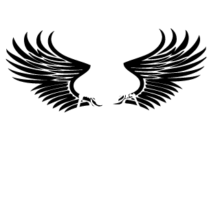count0nz's emblem