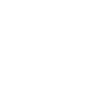 scanovic's emblem