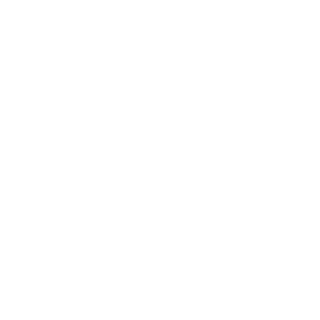 dr1swerqq's emblem