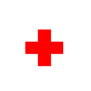 Japan Life Saver's emblem