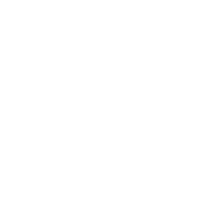 brudnytapczan's emblem