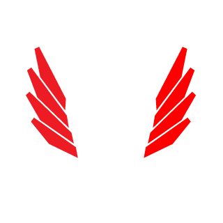 McDrivePL's emblem