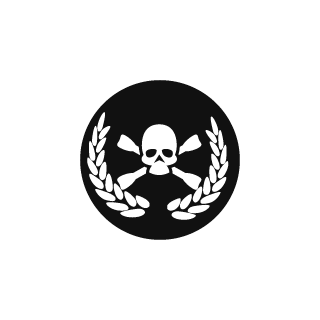 AcidNix33's emblem