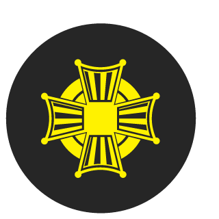 InsaneWang56's emblem