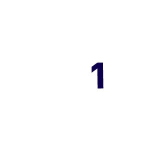 Duck501's emblem