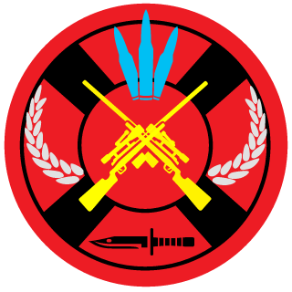 0DesertStorm0's emblem