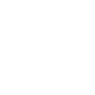 chester_240's emblem