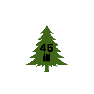 Michigan1817's emblem