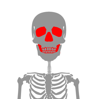 chaydkun01's emblem