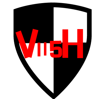 TheViisH's emblem
