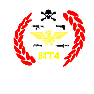 13ATA's emblem