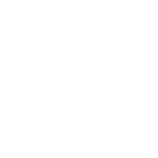 CheBebrashka's emblem