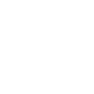 SoulRetrieverZ's emblem
