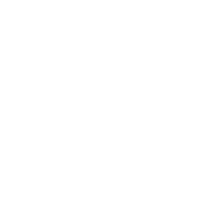 F1ctionX64's emblem