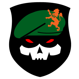 binhdinh's emblem